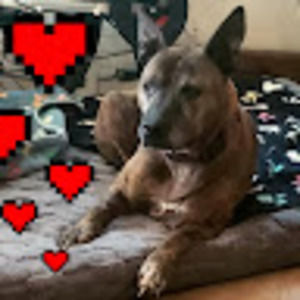 Meet your Posher, Darla